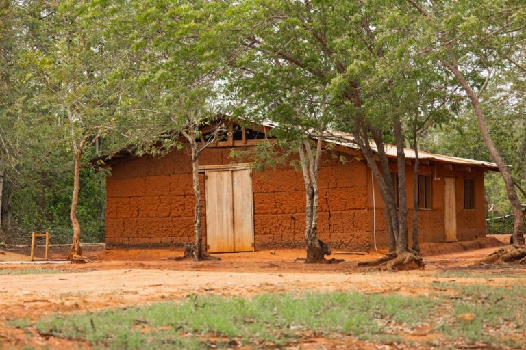 A traditional earthen house stands peacefully amid trees and greenery, showcasing rustic charm.