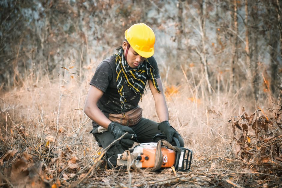 Man wearing safety gear checks chainsaw in autumn forest clearing.