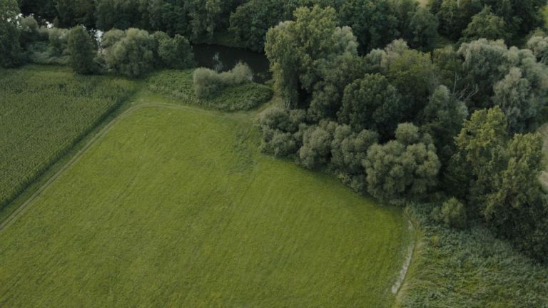 Drone view of lush green fields and forest in Muttersholtz, Grand Est, France.