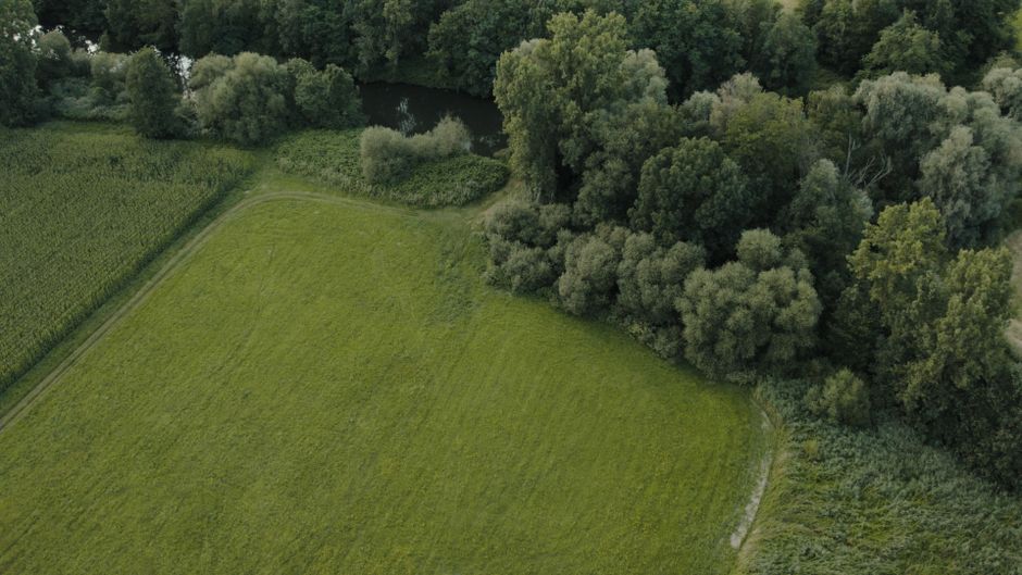 Drone view of lush green fields and forest in Muttersholtz, Grand Est, France.