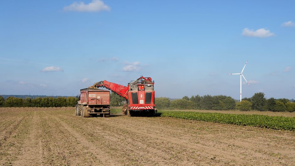 A red harvester works on sugar beet fields in Lütau, Germany on a sunny day.