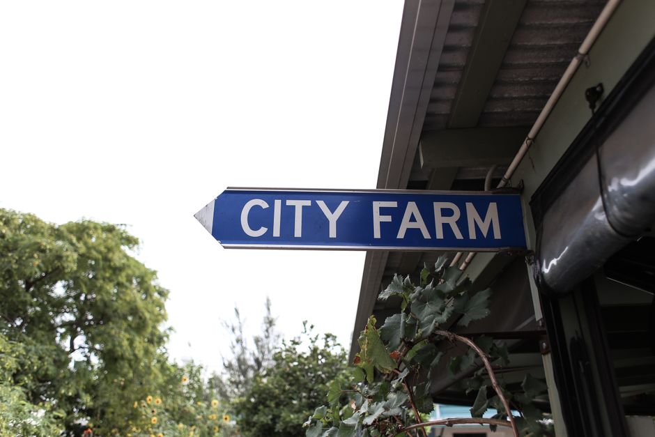 A blue directional street sign pointing to a city farm, surrounded by greenery and urban elements.
