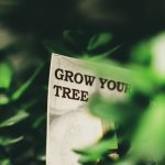 Close-up of sign with 'Grow Your Tree' surrounded by green foliage, conveying growth theme.