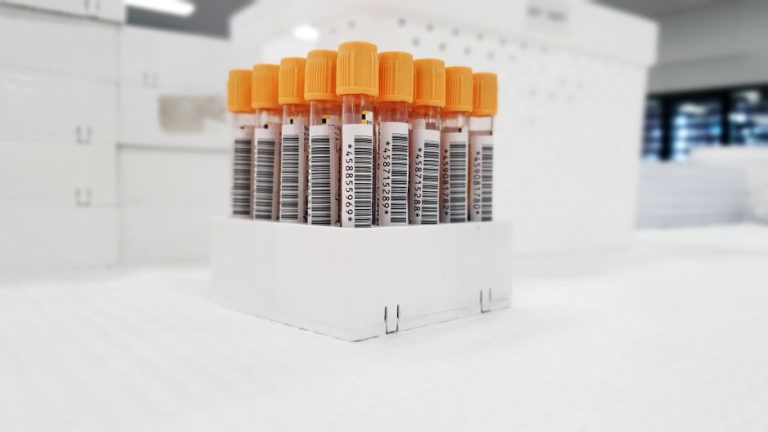 Blood sample test tubes with barcodes organized in a laboratory setting.