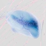 Neuro-Digital Integration: Mastering High-Performance Thinking A 3D rendering of a neural network with abstract neuron connections in soft colors.