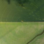 Precision Agriculture: Lessons in Operational Excellence Aerial view showcasing farming irrigation circles and a river beside green fields.