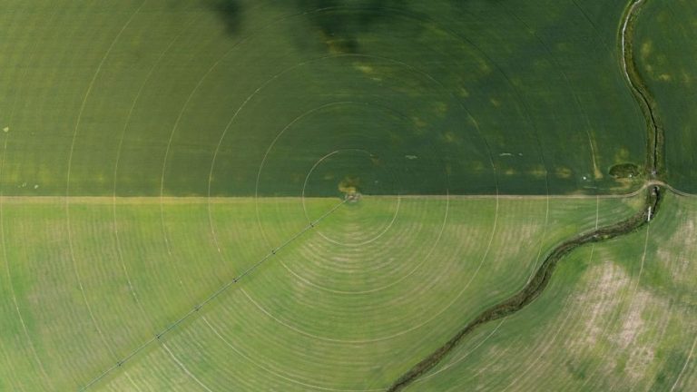 Aerial view showcasing farming irrigation circles and a river beside green fields.