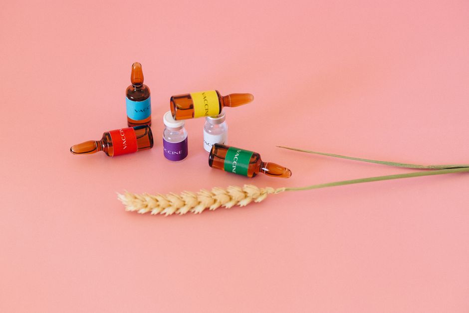 Studio shot of vaccine ampoules on a pink surface with wheat ears.