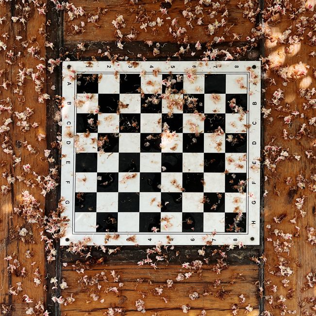 Chessboard covered with delicate petals, creating a serene spring atmosphere.