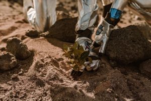 Astronaut planting a small plant on rocky, sandy alien terrain in futuristic space suit.
