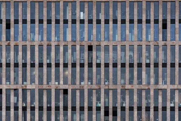 The Architecture of Cognitive Efficiency: Master Decision Making