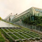 The Architecture of Efficiency: A Guide to Functionalism Modern eco-friendly building with a lush green roof and innovative architecture design.