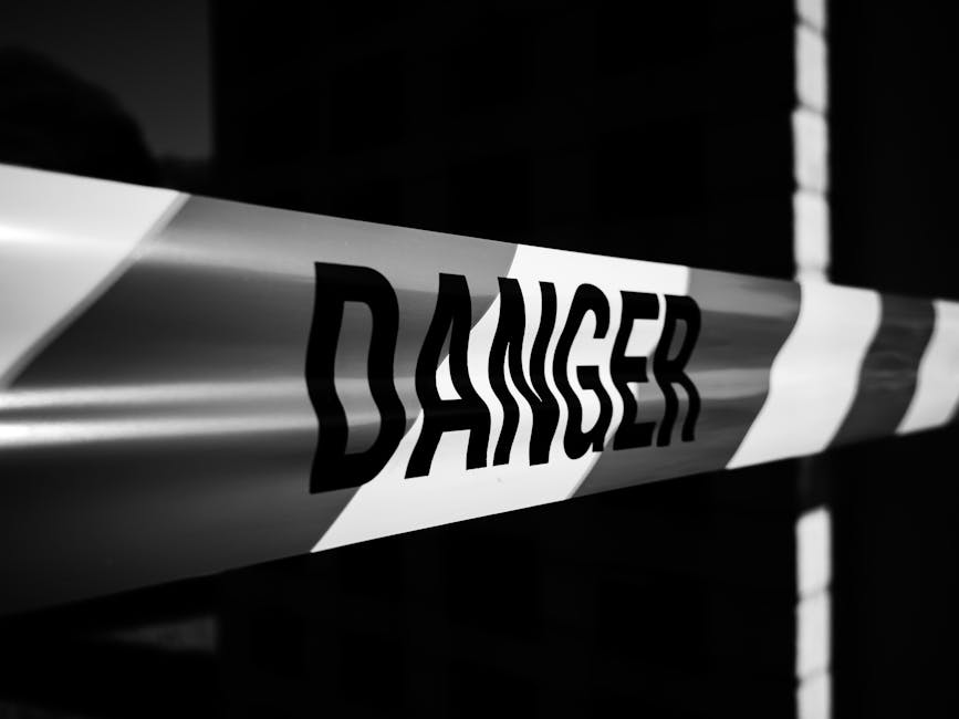 The Danger of Digital Elegance: Why Complexity is Killing Your Operational Velocity