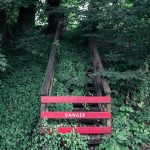 The Danger of Quiet: Why Modern Innovation Needs Strategic Chaos Abandoned wooden stairs enveloped by lush greenery with a bold red danger sign in Asheville, NC.