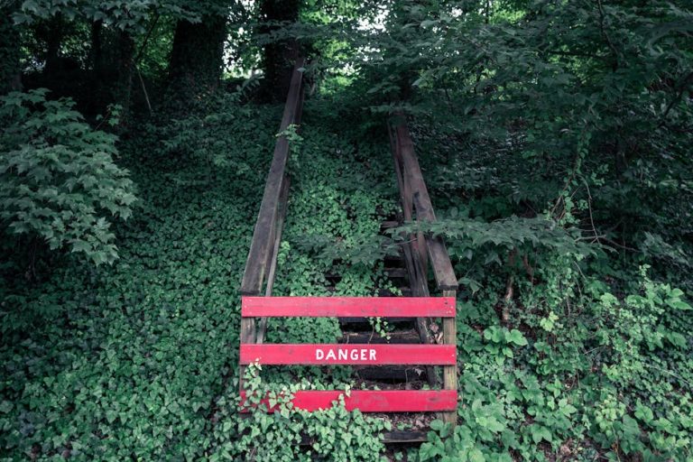 Abandoned wooden stairs enveloped by lush greenery with a bold red danger sign in Asheville, NC.