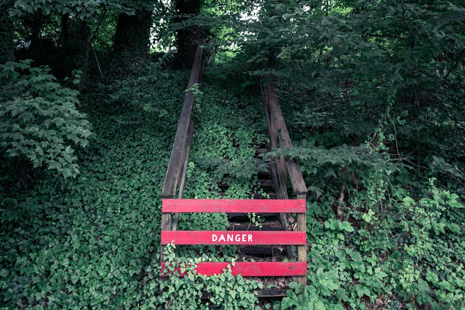 Abandoned wooden stairs enveloped by lush greenery with a bold red danger sign in Asheville, NC.