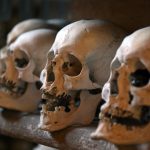 A detailed view of several human skulls lined up in an eerie ossuary environment.
