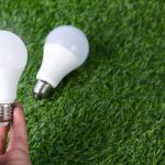 The Energy Arbitrage: Why Modern CTOs Must Become Grid-Optimized Operators Hand holding LED light bulb on a grass surface, representing energy efficiency.