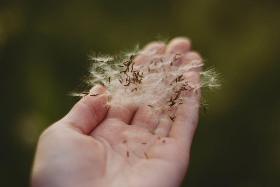 A hand delicately holding dandelion seeds with a blurred green background, showcasing nature's fragility.