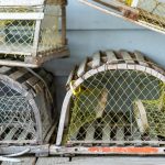 The Frictionless Trap: Why Great Leadership Requires Artificial Inefficiency Stacked wooden crab traps with yellow netting, highlighting traditional fishing equipment.