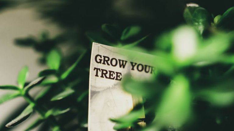 Close-up of sign with 'Grow Your Tree' surrounded by green foliage, conveying growth theme.
