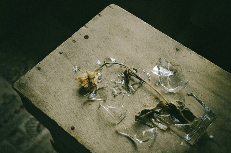 A withered flower lying on a wooden surface with broken glass nearby, creating a melancholic scene.