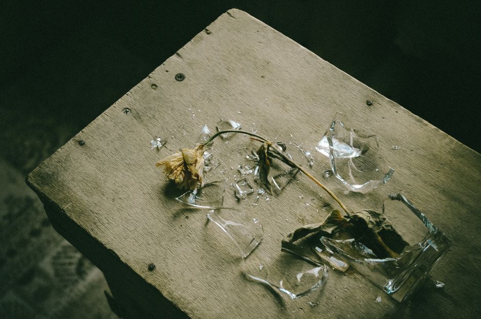 A withered flower lying on a wooden surface with broken glass nearby, creating a melancholic scene.