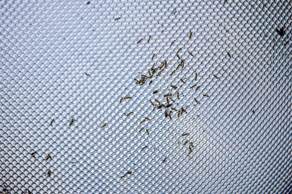 Detailed close-up of small insects trapped on a gray textured mesh surface.