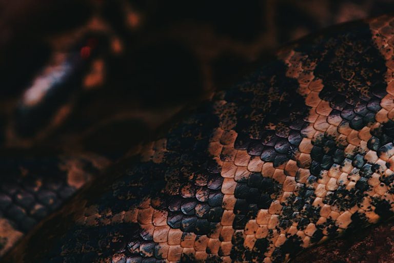 A close-up shot showcasing the intricate scales of a snake, highlighting texture and color.