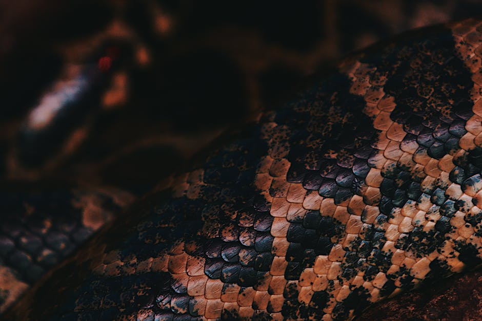 The Predator’s Paradox: Why Scaling Like an Apex Species Can Destroy Your Business