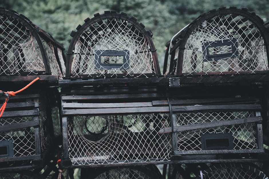 The Talent Arbitrage Trap: Why Geographic Mobility Is Only Half the Battle